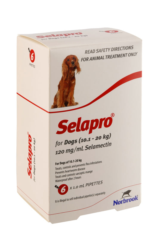Selapro® Spot On Medium Dog 6pk