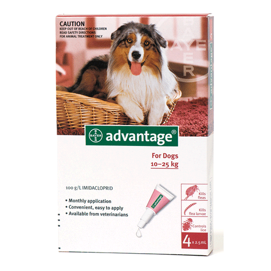 Advantage 250 (Red) Spot on For Large Dogs 10-25kg (22-55lbs), 4 Pack