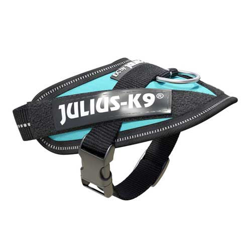 Julius-K9 IDC-Powerharness For Dogs Size: Baby 1, Aquamarine