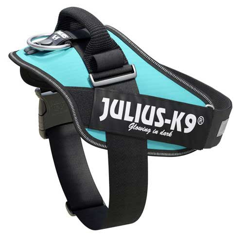 Julius-K9 IDC-Powerharness For Dogs Size: 1, Aquamarine