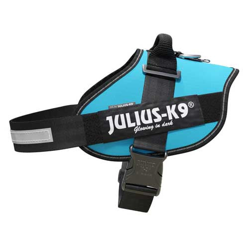Julius-K9 IDC-Powerharness For Dogs Size: 3, Aquamarine