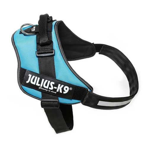 Julius-K9 IDC-Powerharness For Dogs Size: 4, Aquamarine