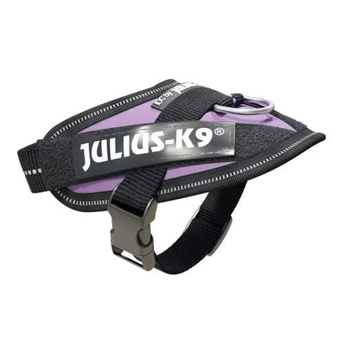 Julius-K9 IDC-Powerharness For Dogs Size: Baby 1, Purple