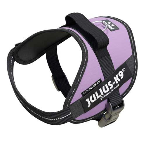 Julius-K9 IDC-Powerharness For Dogs Size: Mini, Purple