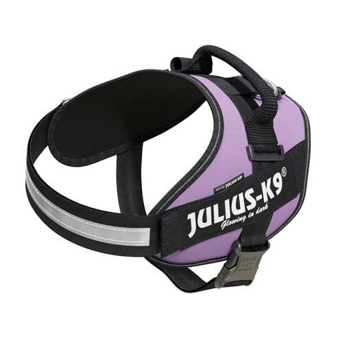 Julius-K9 IDC-Powerharness For Dogs Size: 2, Purple