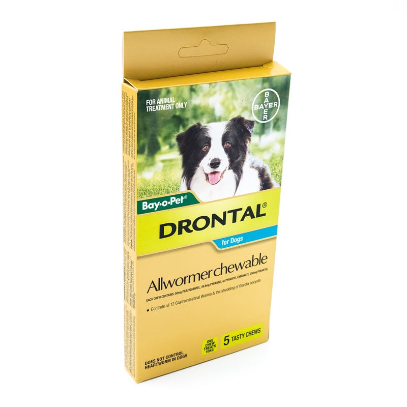 Drontal Allwormer Chewables for Medium Dogs up to 22lbs(10kg), 5 Chews Pack