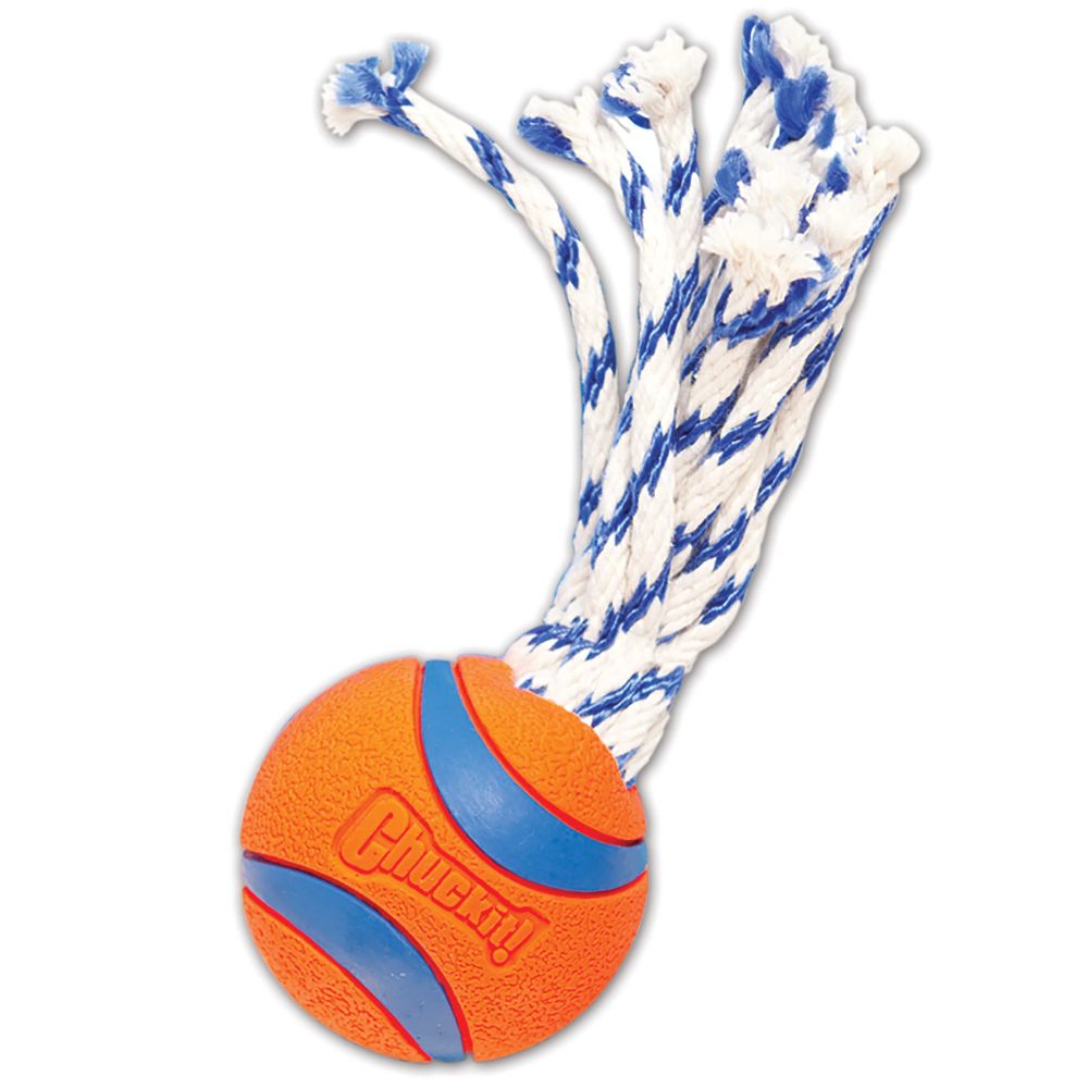 Chuckit! Ultra Toss Dog Toy