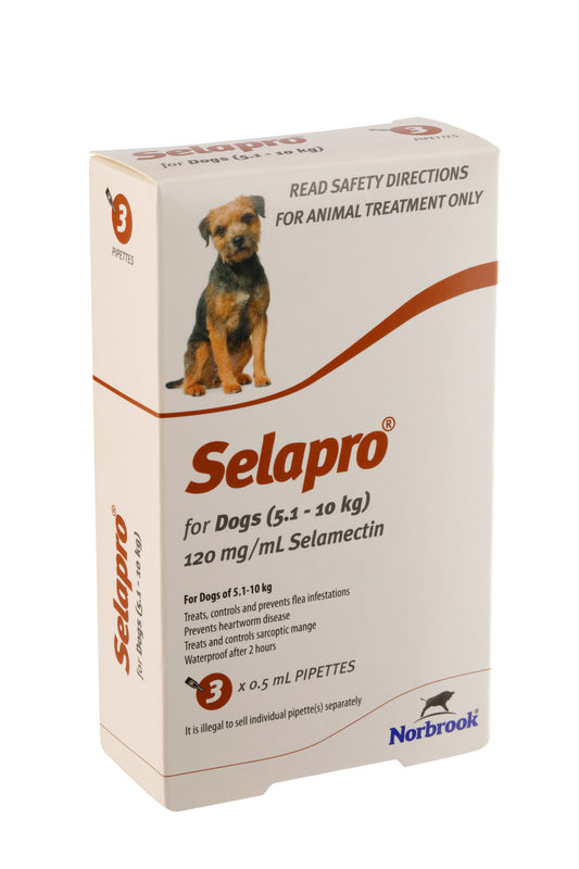 Selapro® Spot en perros pequeños, paquete de 3