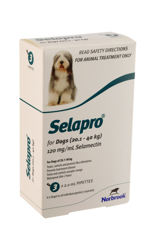 Selapro® Spot On Perro Grande, paquete de 3