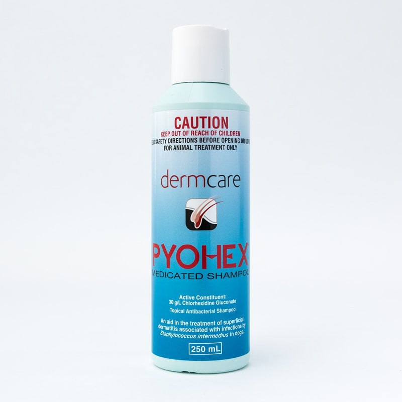 Dermcare Pyohex Shampoo 250ml