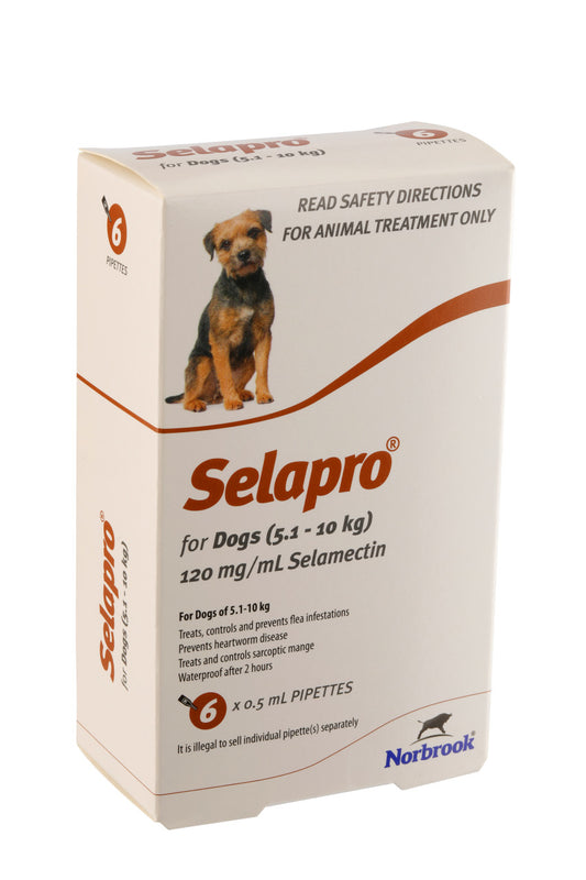 Selapro® Spot en perros pequeños, paquete de 6