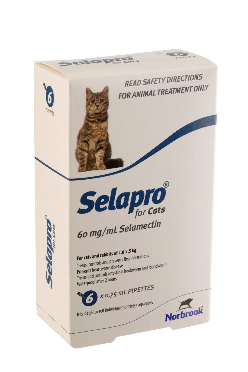 Selapro® Spot On Cats 6pk