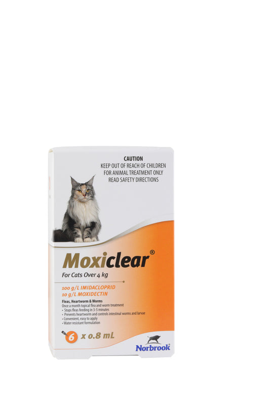 Moxiclear® pour chats de plus de 4 kg 6pk