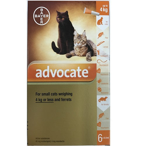 Advocate pour les petits chats de moins de 4 kg (8,8 lb), paquet de 6
