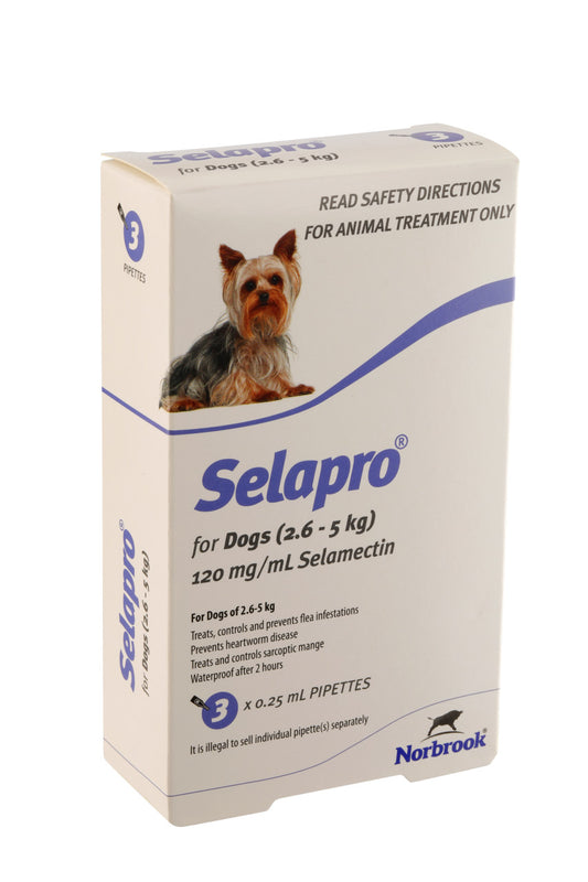 Selapro® Spot en perros muy pequeños, paquete de 3