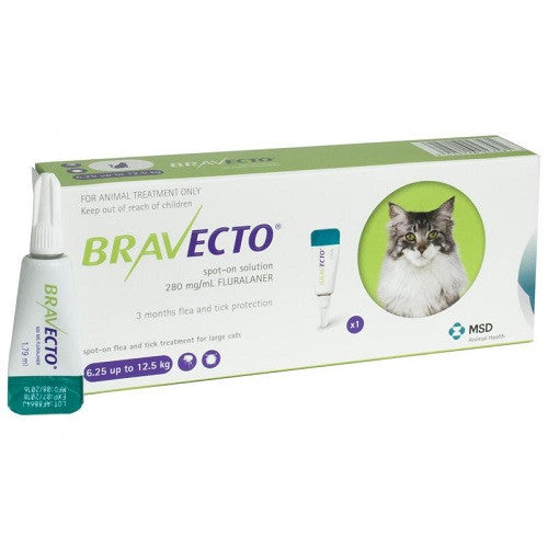 Bravecto 500 mg Solution Spot-On pour grands chats 6,25-12,5 kg (13,8-27,5 lb)