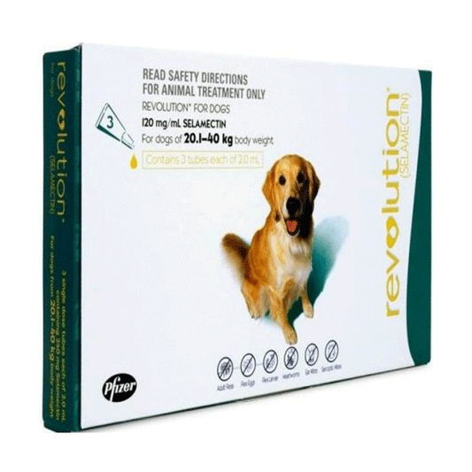 Revolution (bleu sarcelle) pour chiens de 20,1 à 40 kg (40,1 à 85 lb), paquet de 6