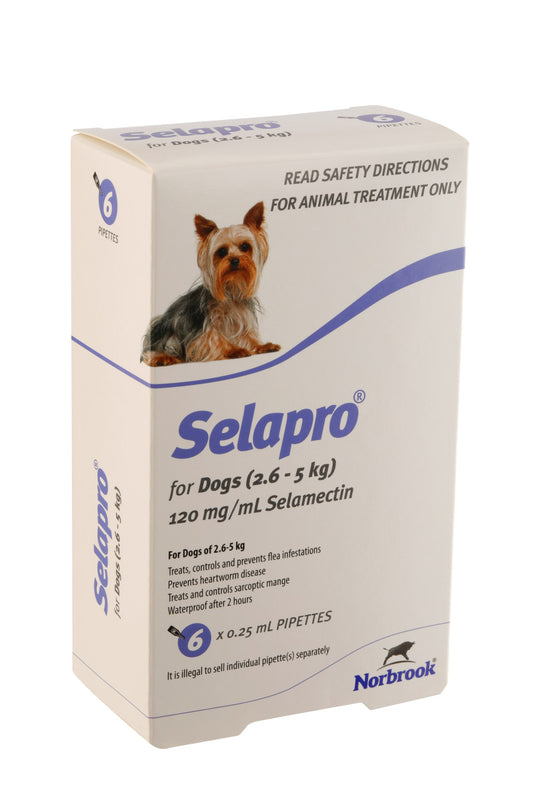 Selapro® Spot en perros muy pequeños, paquete de 6