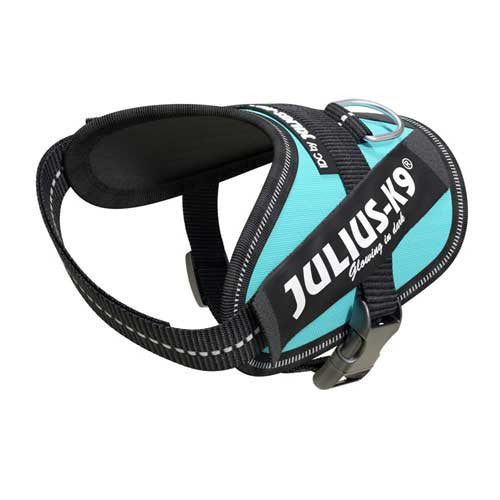 Julius-K9 IDC-Powerharnais pour chiens Taille : Mini-Mini, Aigue-marine