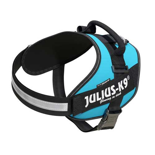 Julius-K9 IDC-Powerharness For Dogs Size: 2, Aquamarine