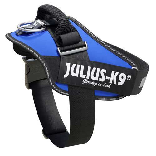 Julius-K9 IDC-Powerharnais pour chiens Taille : 1, Bleu