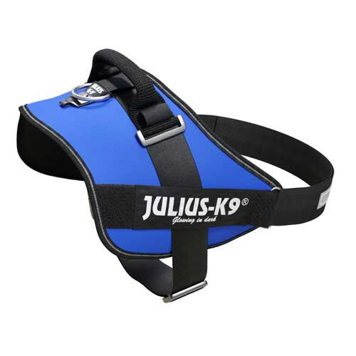 Julius-K9 IDC-Powerharnais pour chiens Taille : 4, Bleu