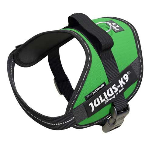 Julius-K9 IDC-Powerharness For Dogs Size: Mini, Green