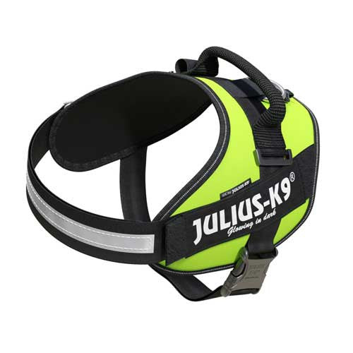 Julius-K9 IDC-Arnés Power para perros Talla: 2, Verde neón