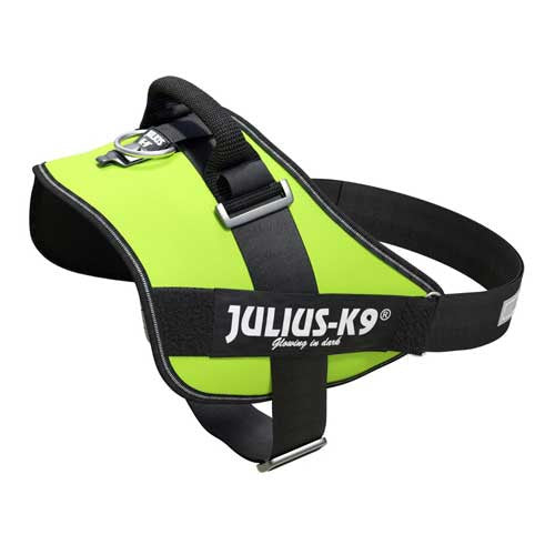 Julius-K9 IDC-Powerharnais pour chiens Taille : 4, Vert fluo