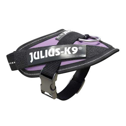 Julius-K9 IDC-Powerharnais pour chiens Taille : Bébé 1, Violet