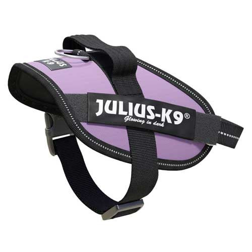 Julius-K9 IDC-Arnés Power para perros Tamaño: Mini-Mini, Morado