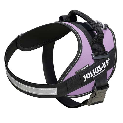 Julius-K9 IDC-Powerharness For Dogs Size: 0, Purple