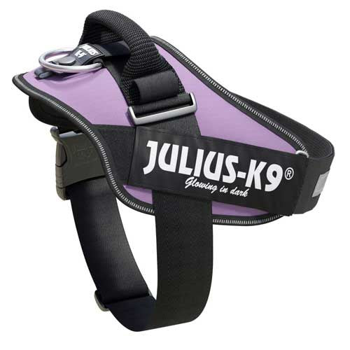 Julius-K9 IDC-Powerharnais pour chiens Taille: 1, Violet