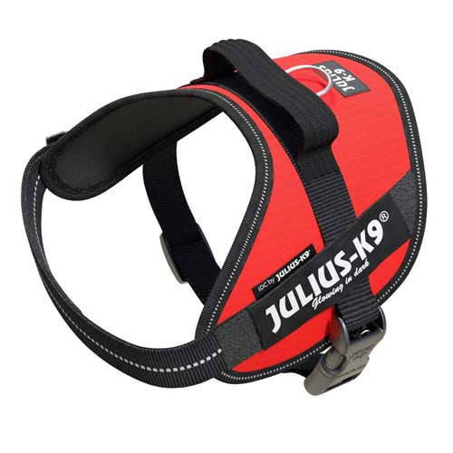 Julius-K9 IDC-Powerharnais pour chiens Taille : Mini, Rouge