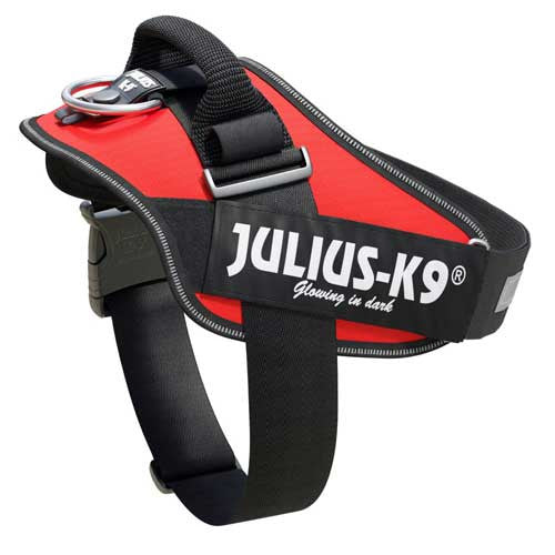 Julius-K9 IDC-Powerharnais pour chiens Taille: 1, Rouge