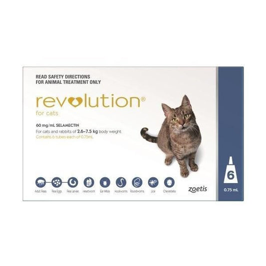 Paquete de 6 gatos azules de Revolution