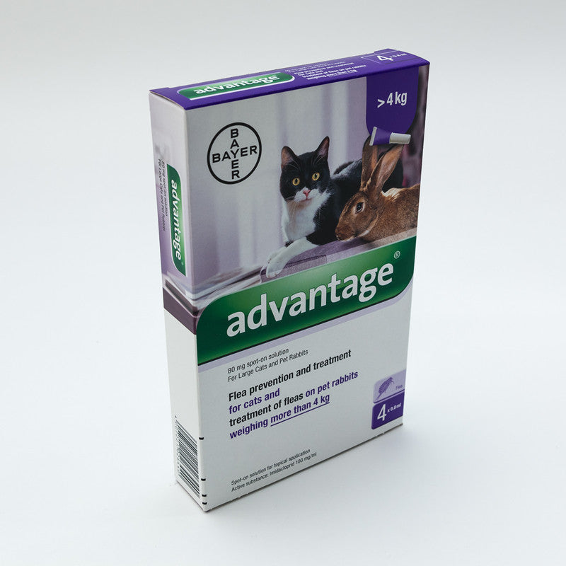 Advantage (Purple) for Large Cats over 8.8lbs (4kg)