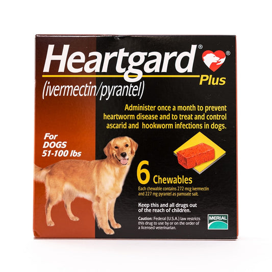 Heartgard Plus (marron) à croquer pour chiens de 51 à 100 lb (23 à 45 kg), paquet de 6