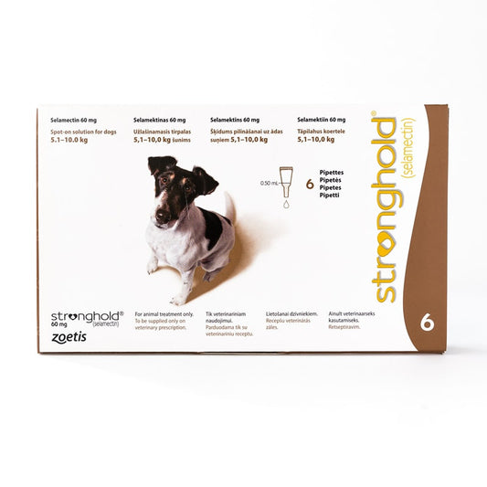 Stronghold pour chiens de 5,1 à 10 kg (11 à 22 lb) marron, paquet de 6