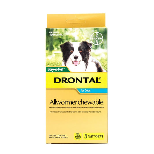 Drontal Allwormer masticables para perros medianos de hasta 22 libras (10 kg), paquete de 5 masticables